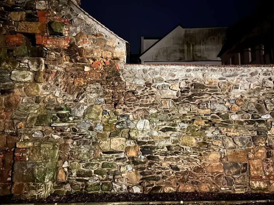 Fewos Anno 1529 In Top-Altstadtlage Von Zittau Esterno foto